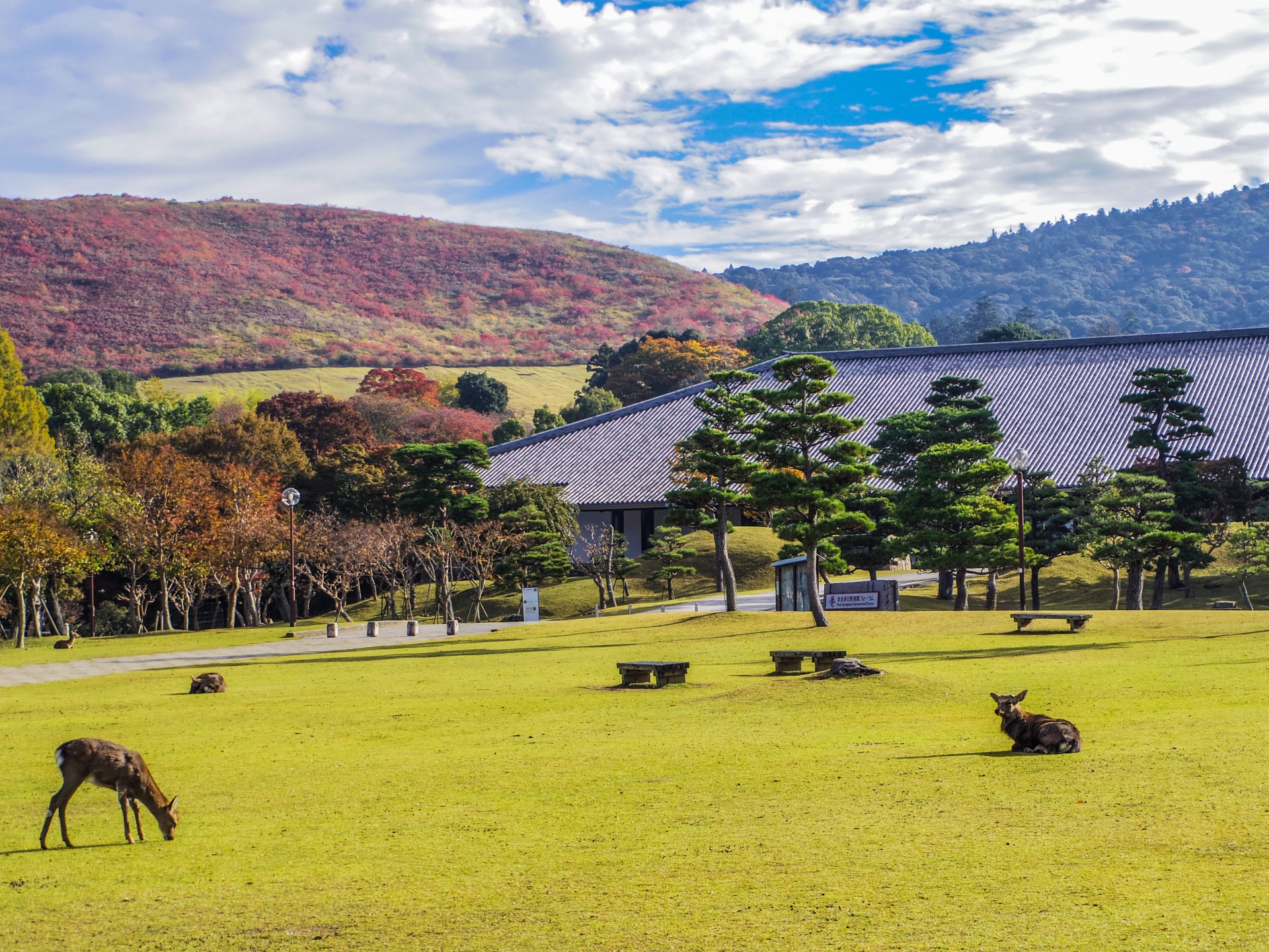 三笠の山の風景