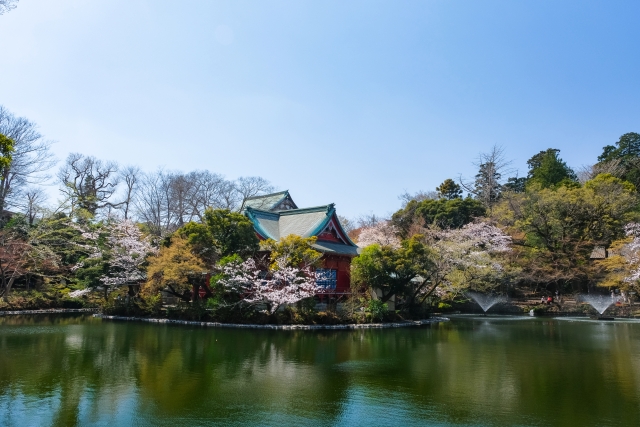 武蔵野の風景
