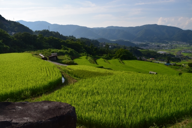 姨捨山の風景