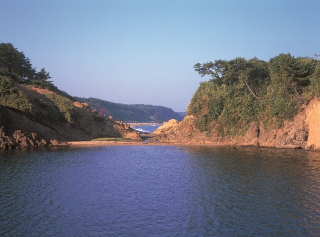 汐越の松の風景