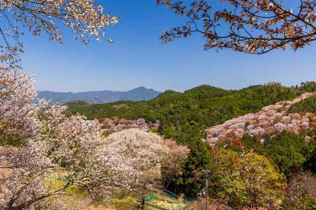 吉野山の風景